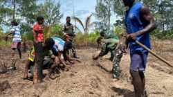 Bedengan Rampung, Lahan Program TMMD di Kampung Keakwa Siap Ditanami