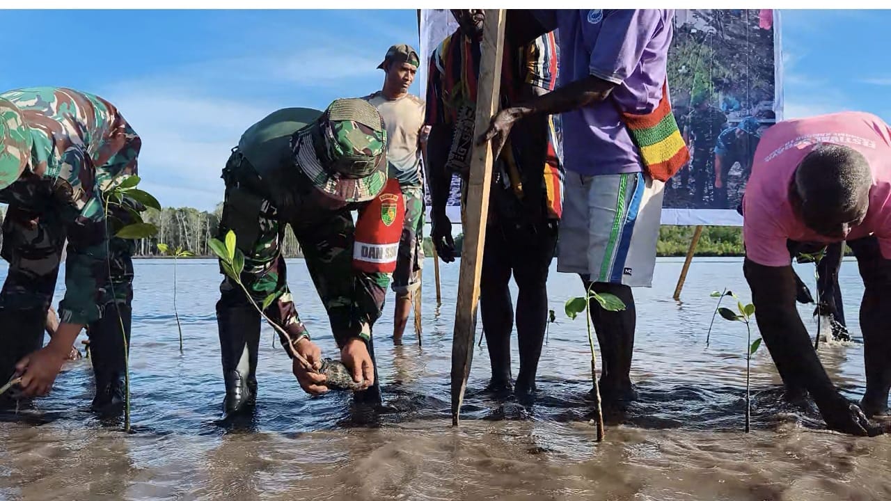Mangrove