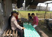 Sosialisasi Bahaya Strum Tikus Sebagai Pengendali Hama di Sawah