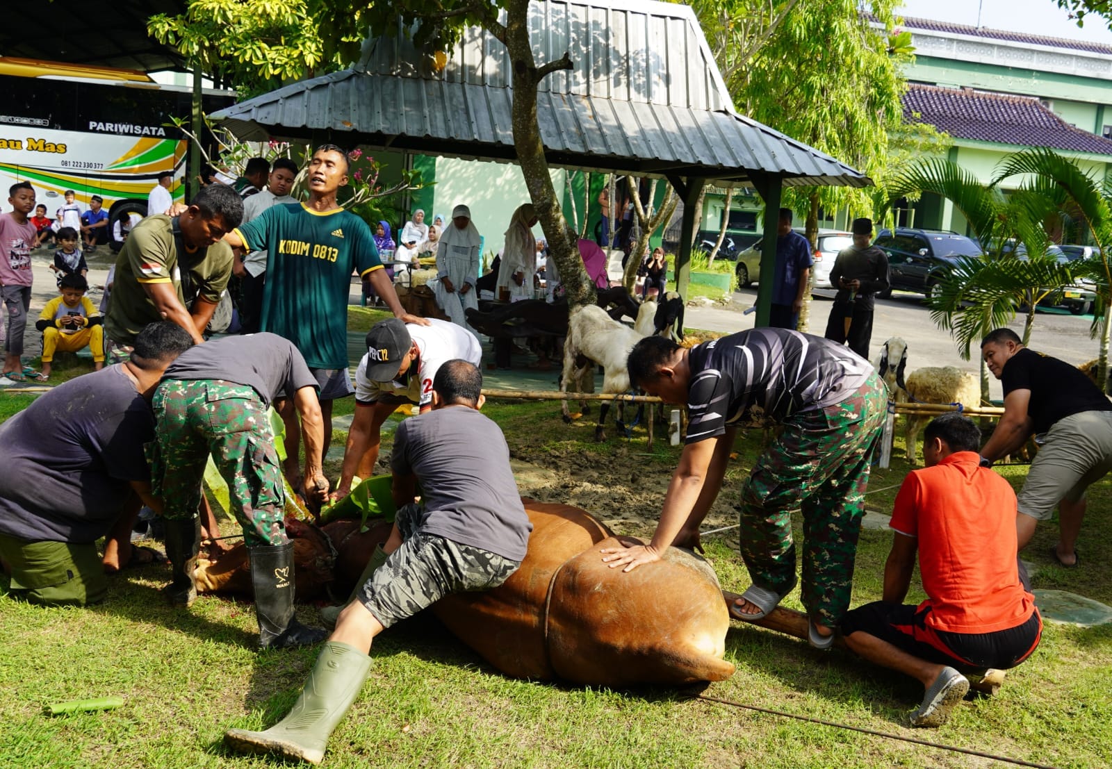 Semangat Berbagi di Idul Adha, Kodim Bojonegoro Salurkan Daging Kurban Semangat Berbagi di Idul Adha, Kodim Bojonegoro Salurkan Daging Kurban