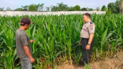 Polisi Probolinggo Kota dan Petani Bersinergi Jaga Ketahanan Pangan Nasional
