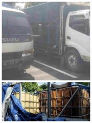 Dari Ngawi Hingga Semarang, Polisi Ungkap Jaringan Mafia Solar Lintas Kota