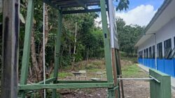 Pembangunan
