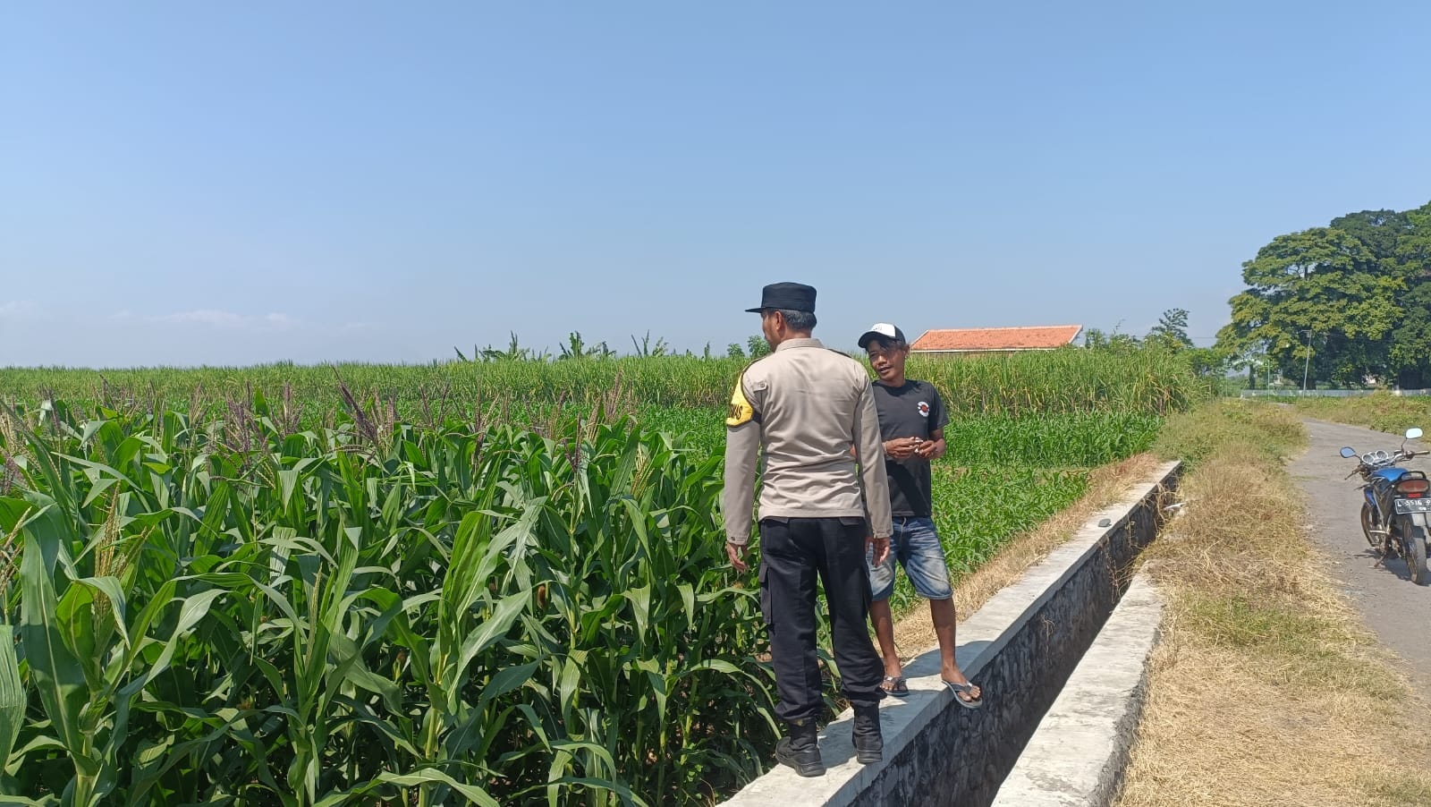 Bhabinkamtibmas Kademangan Sambangi Petani Jagung, Polri Perkuat Ketahanan Pangan dari Tingkat Kelurahan