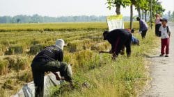 Pembinaan Lingkungan Hidup, Kodim Bojonegoro Tanam Ribuan Pohon Kayu Putih dan Balsa