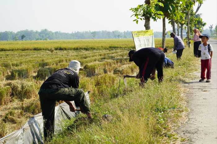 Pembinaan Lingkungan Hidup, Kodim Bojonegoro Tanam Ribuan Pohon Kayu Putih dan Balsa Pembinaan Lingkungan Hidup, Kodim Bojonegoro Tanam Ribuan Pohon Kayu Putih dan Balsa