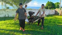 Jum’at Berkah, Personel Kodim 1505/Tidore Bersihkan Pesisir Pantai dan Lingkungan Kedaton