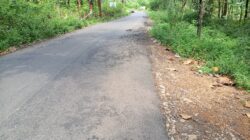 Jalan Rusak dan Tambal Sulam Cepat Jebol, Transparansi PUPR Dipertanyakan