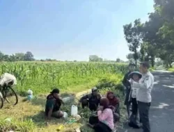 Polsek Wonoasih Perkuat Ketahanan Pangan Lewat Dialog dengan Petani Jagung