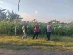 Polri Hadir di Tengah Petani, Polsubsektor Kanigaran Perkuat Sinergi Ketahanan Pangan