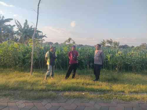 Polri Hadir di Tengah Petani, Polsubsektor Kanigaran Perkuat Sinergi Ketahanan Pangan Polri Hadir di Tengah Petani, Polsubsektor Kanigaran Perkuat Sinergi Ketahanan Pangan