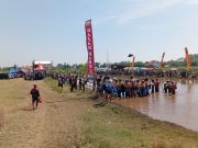 Danramil Wonoasih Amankan Kerapan Sapi Brujul Semipro 2026, Dorong Wisata Budaya Daerah