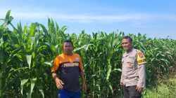 Bhabinkamtibmas Kedopok Dorong Petani Dukung Program Ketahanan Pangan Nasional Bhabinkamtibmas Kedopok Dorong Petani Dukung Program Ketahanan Pangan Nasional
