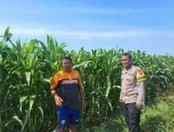 Bhabinkamtibmas Kedopok Dorong Petani Dukung Program Ketahanan Pangan Nasional
