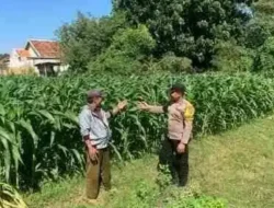 Petani Diajak Berperan Aktif, Polsek Kademangan Kawal Ketahanan Pangan Nasional