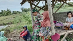 Koramil Leces Aktif Komsos Dan Dampingi Petani Binaan