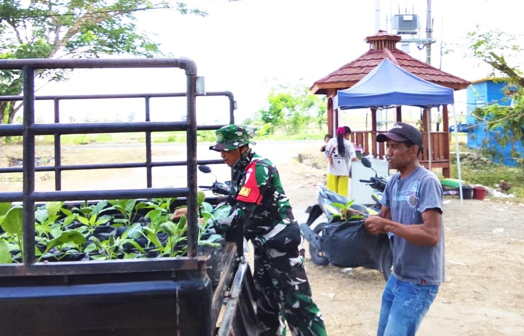 Perkuat Ketahanan Pangan: Satgas TMMD 129 Bojonegoro Pasok Ratusan Bibit Sayuran untuk Warga Kesongo