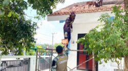 Atap Kokoh, Warna Baru: Sinergi Satgas TMMD 129 Bojonegoro dan Warga Sulap SDN Kesongo 1 Jadi Rumah Belajar Nyaman Atap Kokoh, Warna Baru: Sinergi Satgas TMMD 129 Bojonegoro dan Warga Sulap SDN Kesongo 1 Jadi Rumah Belajar Nyaman
