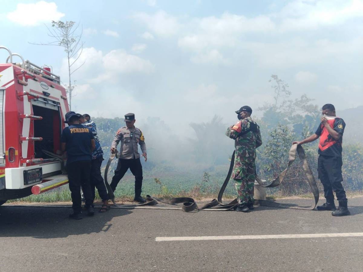 Babinsa Koramil Maba Turun Tangan, Cegah Api Meluas di Lahan Warga Babinsa Koramil Maba Turun Tangan, Cegah Api Meluas di Lahan Warga