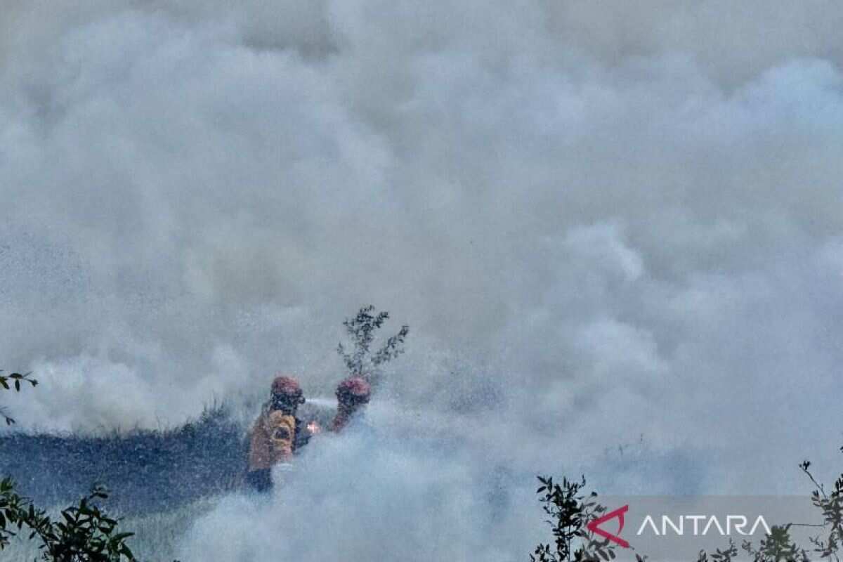 Peningkatan Kasus ISPA di Kalimantan Selatan di Tengah Karhutla