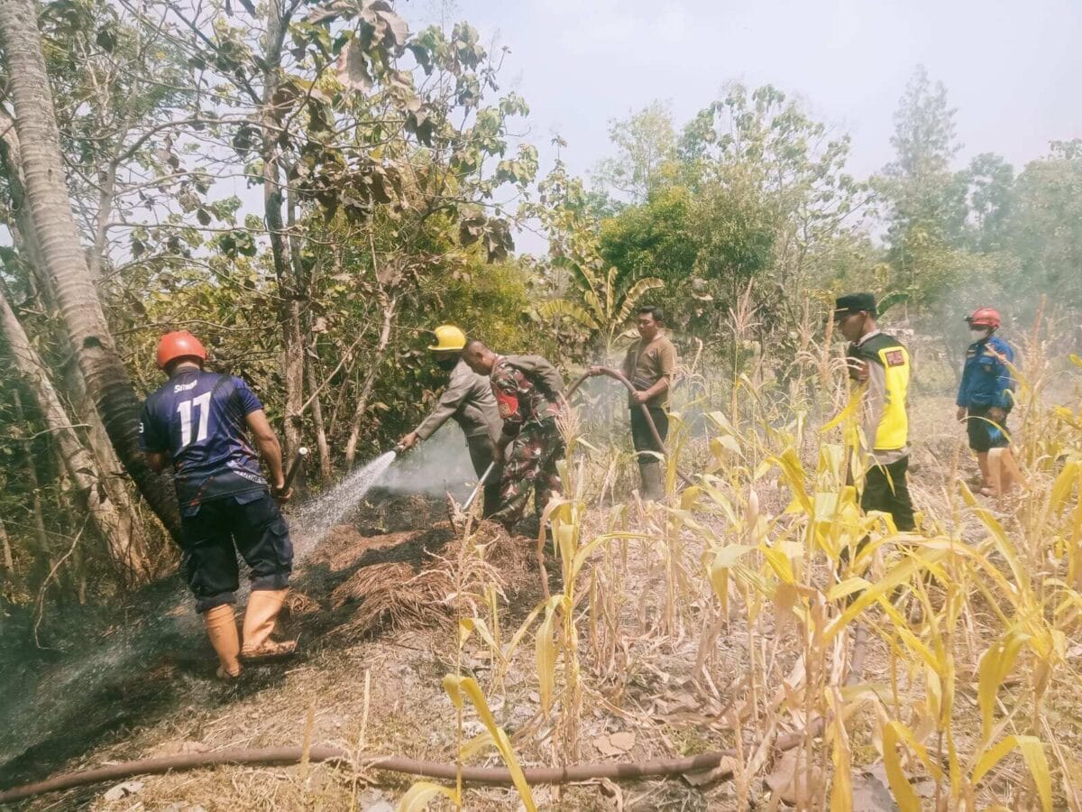 TNI Siagakan 73.766 Personel Tangani Karhutla di Berbagai Wilayah TNI Siagakan 73.766 Personel Tangani Karhutla di Berbagai Wilayah
