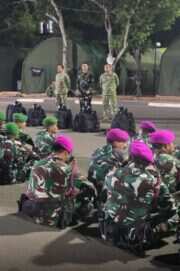 TNI Kerahkan Satgas Khusus Percepat Penanganan Karhutla di Riau