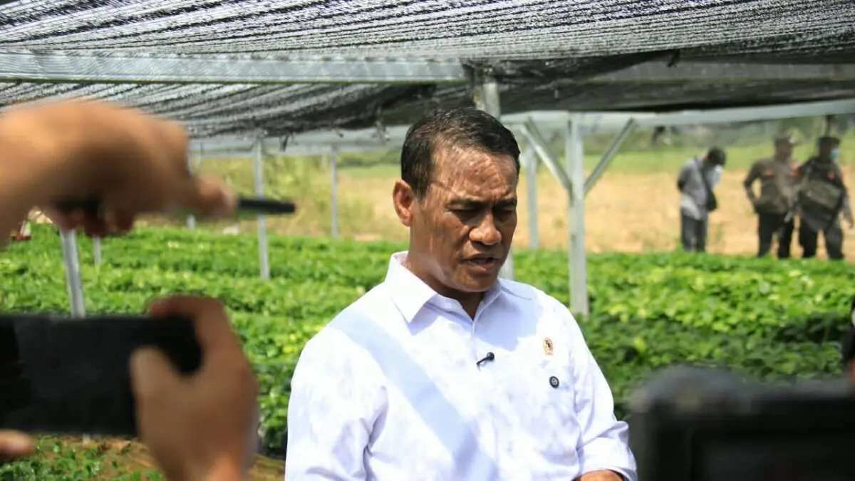 Tindakan Tegas Menteri Pertanian Terhadap Pejabat Bermain Judi Online Dukungan Pemerintah untuk Pengembangan Kopi dan Kakao di Lampung