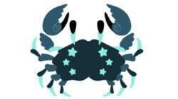 Ramalan Zodiak Cancer untuk Awal September 2026