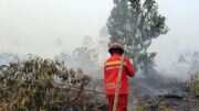 Penerapan Prinsip Strict Liability dalam Karhutla di Indonesia