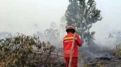 Tinggi Jumlah Titik Panas di Kalimantan Barat dan Tengah