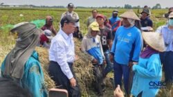 Akses Bantuan Alsintan untuk Buruh Tani: Kebijakan Baru dari Kementerian Pertanian Akses Bantuan Alsintan untuk Buruh Tani: Kebijakan Baru dari Kementerian Pertanian