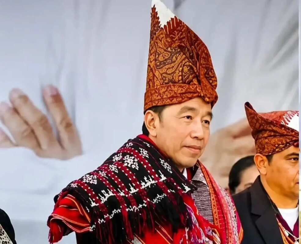 Menelusuri Kontroversi Foto Melva Pardede di Akun Jokowi