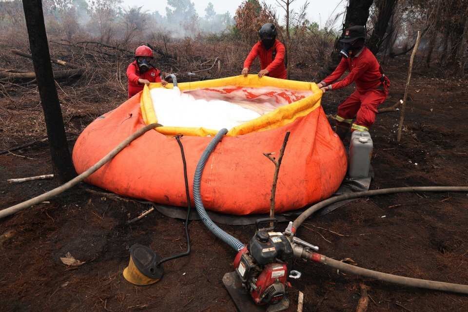 Dukungan Jepang untuk Pemadaman Kebakaran Hutan di Kalimantan