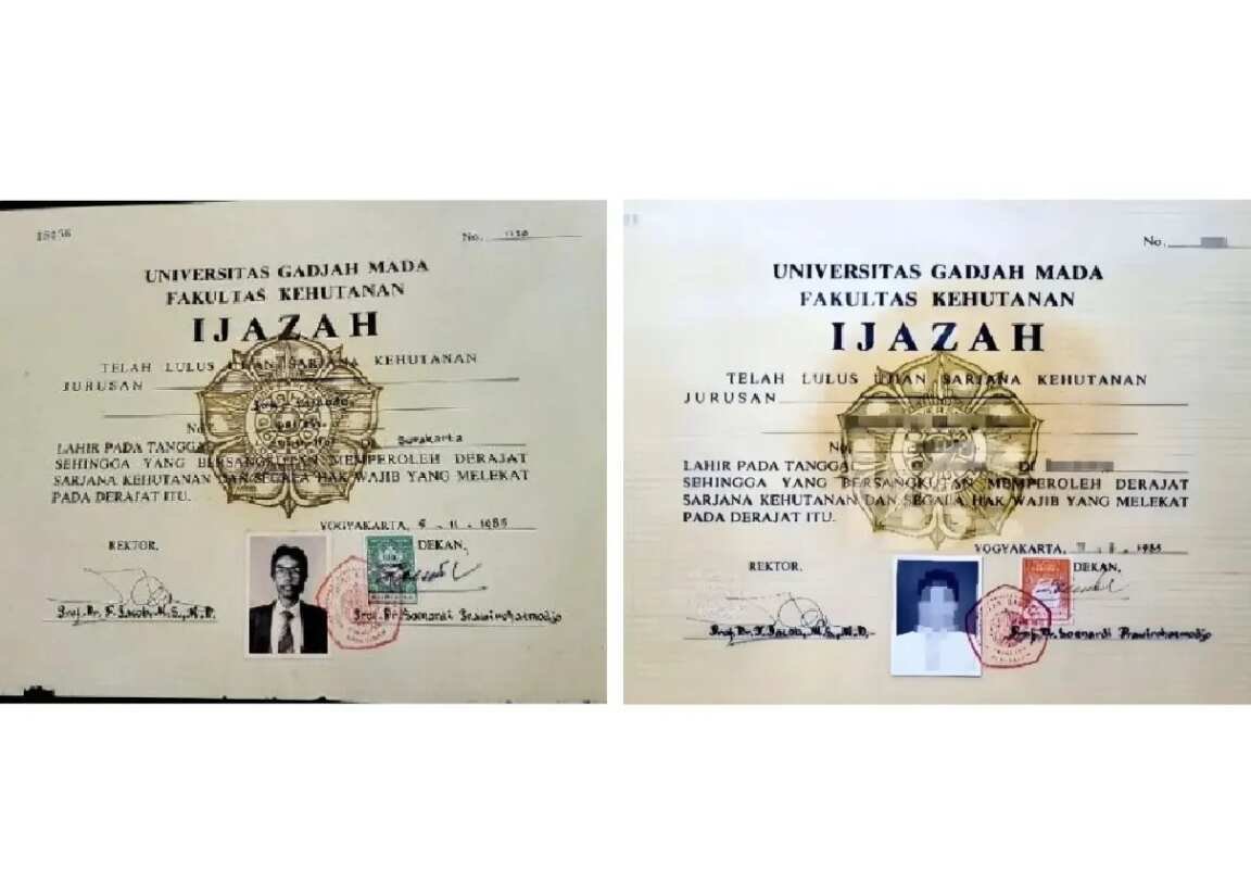 Menganalisis Keaslian Skripsi Joko Widodo Menganalisis Keaslian Skripsi Joko Widodo