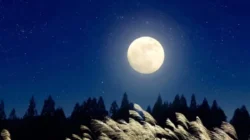 Ramalan Zodiak Pekan Ini: Kesempatan dan Kestabilan untuk Aries, Taurus, Gemini, dan Cancer Ramalan Zodiak Pekan Ini: Kesempatan dan Kestabilan untuk Aries, Taurus, Gemini, dan Cancer
