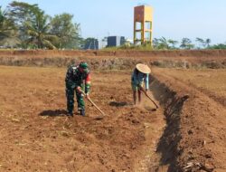 Dukung Ketahanan Pangan Nasional, Babinsa Selorejo Dampingi Petani Siapkan Lahan Tanam Jagung di Desa Boro
