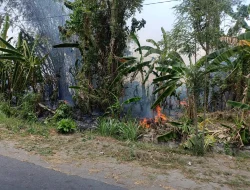 Rumpun Bambu Nyaris Ludes Di Wonodadi Blitar, Kebakaran Berhasil Dipadamkan Berkat Kesiapsiagaan Warga Dan Aparat