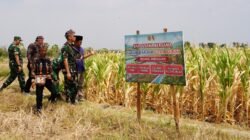 Harmoni dari Desa Leran Kalitidu Bojonegoro: Dusun Sido Kumpul Menuju Panggung Nasional KASAD Award 2026 Harmoni dari Desa Leran Kalitidu Bojonegoro: Dusun Sido Kumpul Menuju Panggung Nasional KASAD Award 2026
