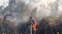 BABINSA BERSAMA TIM GABUNGAN PADAMKAN KARHUTLA DI RAWA MAKMUR BABINSA BERSAMA TIM GABUNGAN PADAMKAN KARHUTLA DI RAWA MAKMUR