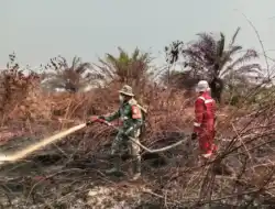 Penanganan Karhutla Sektor Selatan Kalbar Diperkuat, TNI Alihkan Perkuatan Pasukan