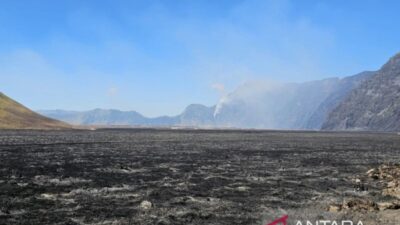 Penyelidikan Dugaan Pidana Karhutla di Gunung Bromo Penyelidikan Dugaan Pidana Karhutla di Gunung Bromo