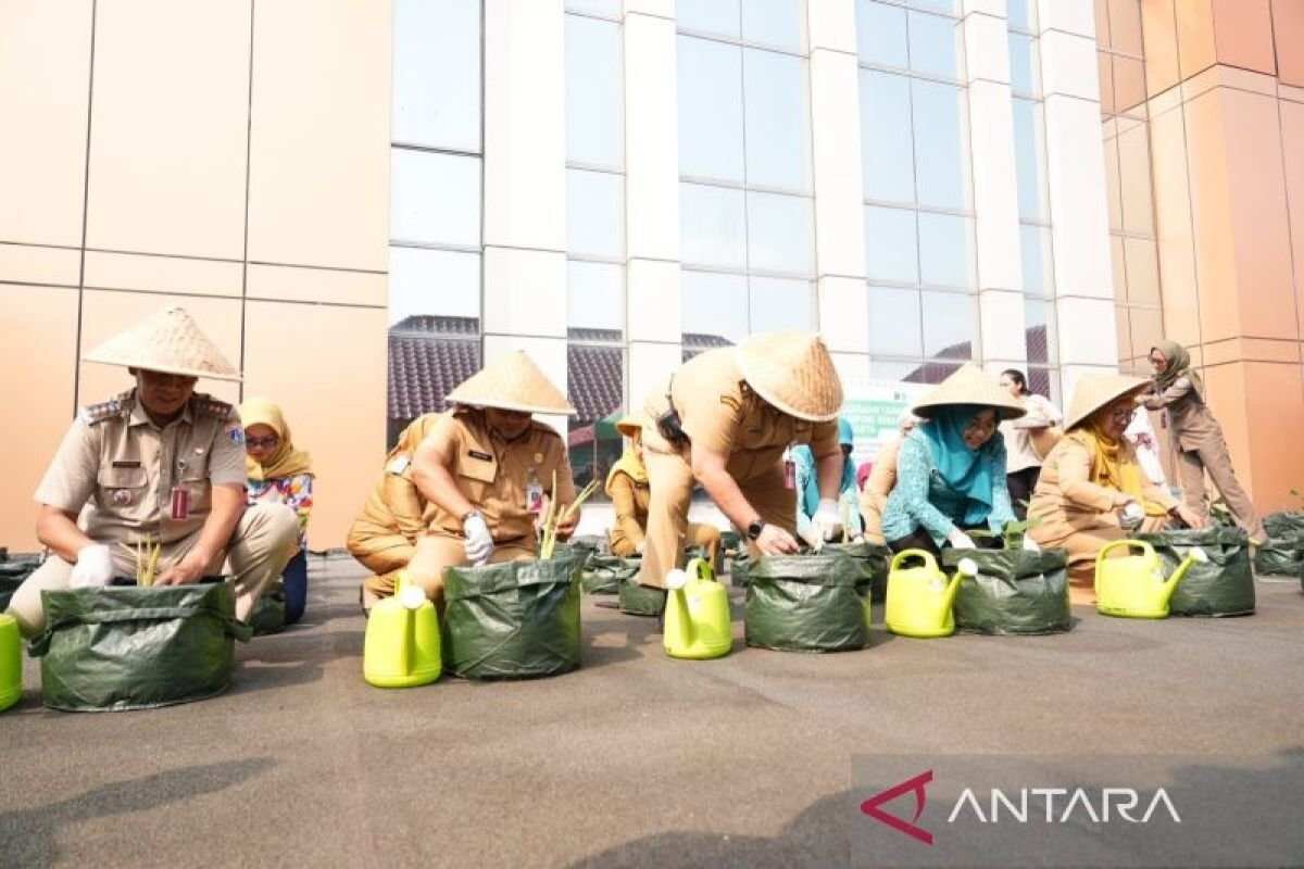 Inisiatif Ketahanan Pangan di Jakarta Pusat Inisiatif Ketahanan Pangan di Jakarta Pusat