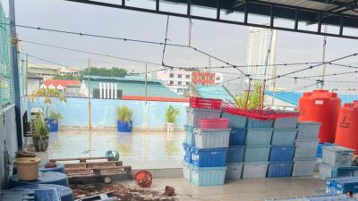 Kematian Tragis di Batam: Asisten Rumah Tangga Diduga Bunuh Majikan
