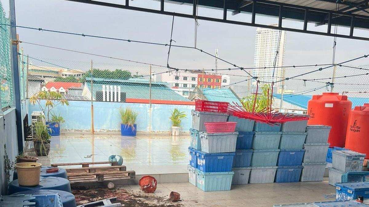 Kematian Tragis di Batam: Asisten Rumah Tangga Diduga Bunuh Majikan