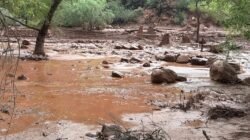 Upaya Pencarian bagi Korban Hilang Akibat Banjir Bandang di Grand Canyon Upaya Pencarian bagi Korban Hilang Akibat Banjir Bandang di Grand Canyon