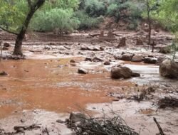 Upaya Pencarian bagi Korban Hilang Akibat Banjir Bandang di Grand Canyon