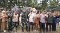 Mengharmoniskan Kehidupan Manusia dan Gajah di Way Kambas