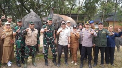 Mengharmoniskan Kehidupan Manusia dan Gajah di Way Kambas