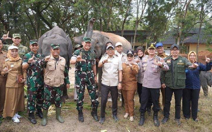 Mengharmoniskan Kehidupan Manusia dan Gajah di Way Kambas