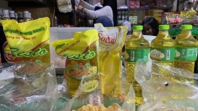 Pergerakan Harga Pangan Nasional: Penurunan dan Kenaikan